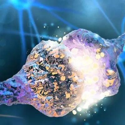 neurociencia